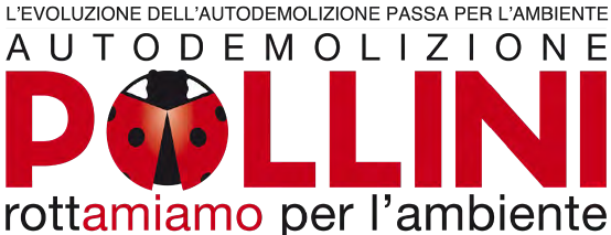 Pollini